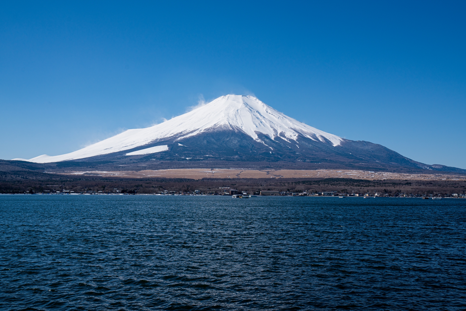 作野裕樹